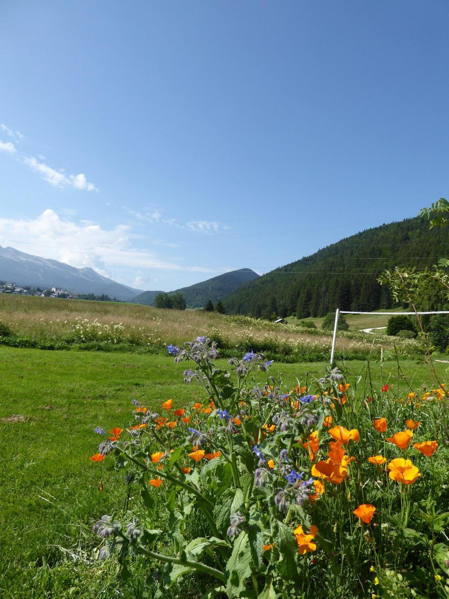 Ferme De La Grande Moucherolle Villard-de-Lans Εξωτερικό φωτογραφία